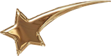 Decorative star separating the sections