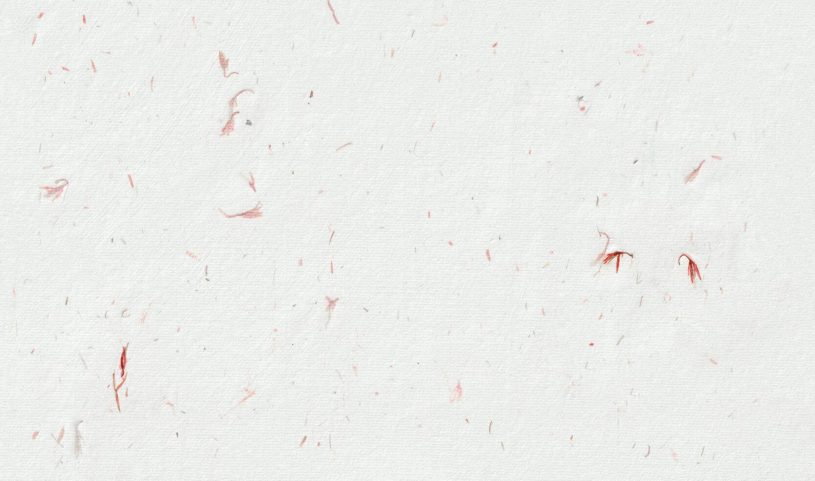 Pressed Petal